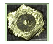 ris-2.jpg